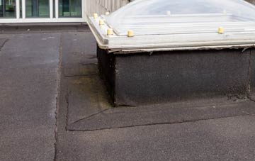 disadvantages of Trotshill flat roofs